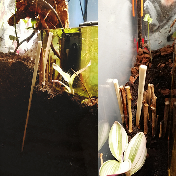 Chopsticks as a fence? Only in a miniature world... 