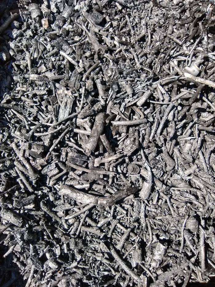 Biochar