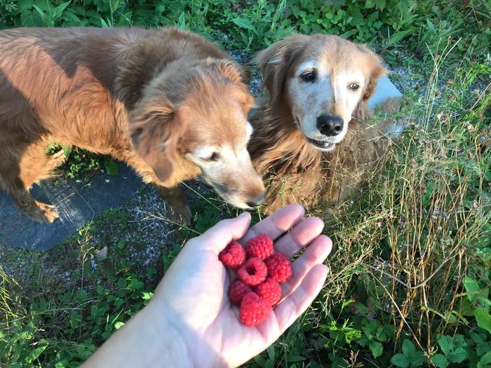 Waiting for their share