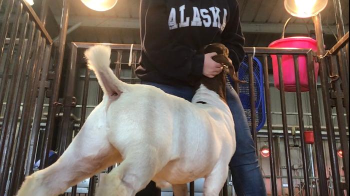 [Thumbnail for C16F7827-19F5-47EC-A2BD-B2A2DCA86B2A.jpeg]