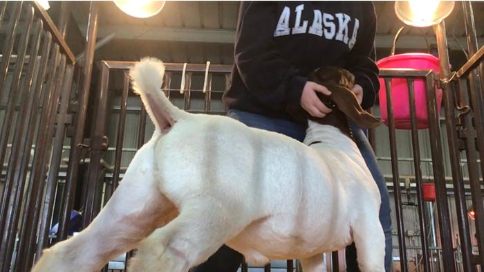 [Thumbnail for AC220DF9-B9E0-4178-BC32-E92575417B21.jpeg]