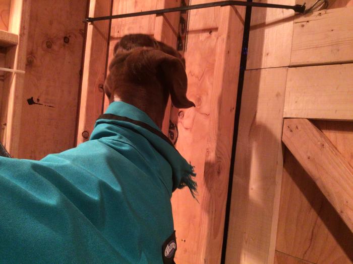 [Thumbnail for 959C0A2A-D97D-4B00-BF62-D7A6FB46C2C9.jpeg]