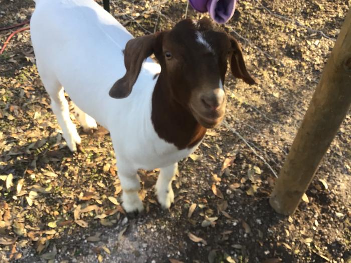 [Thumbnail for D6E127FE-B27D-4322-85AE-F9D336128665.jpeg]