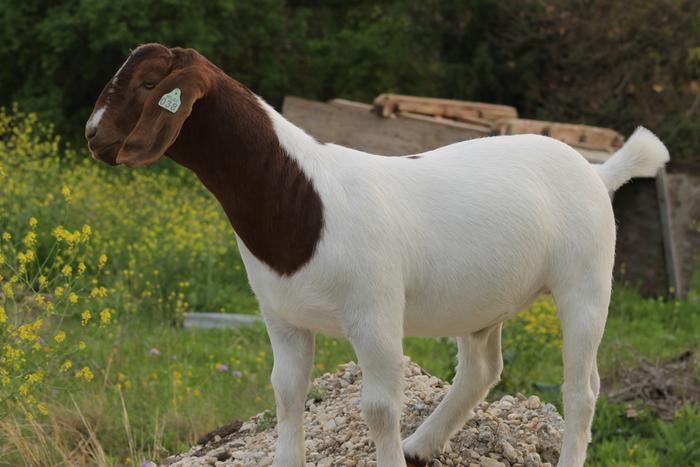 [Thumbnail for 2192043F-8EEB-4218-A6E7-62C826D6C7C4.jpeg]