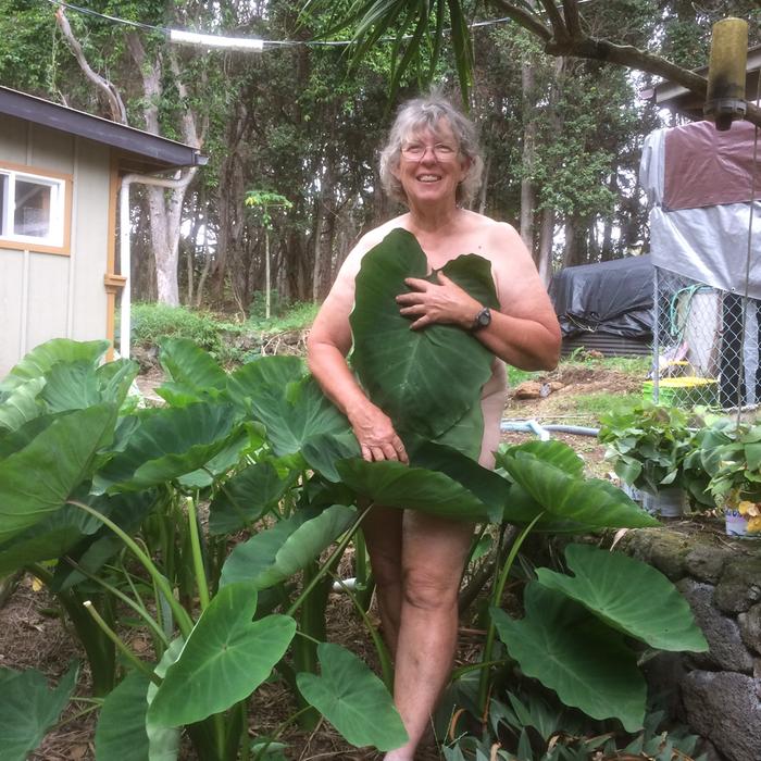 Gardening in the taro patch