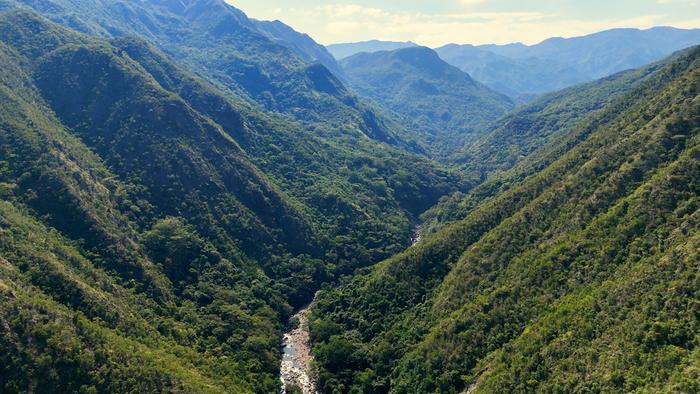 tropical-dry-forest-valley