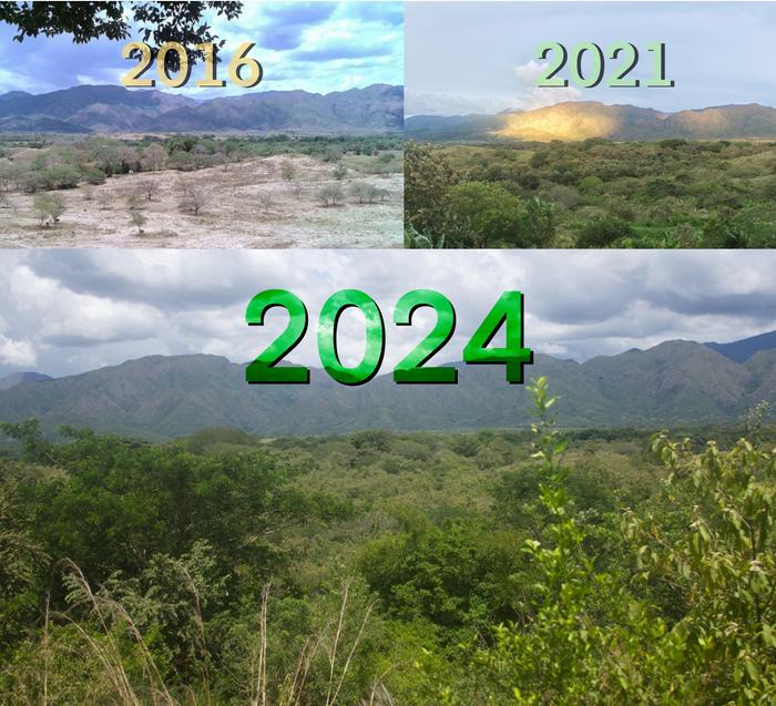 2024-land-update-siempre-vivo