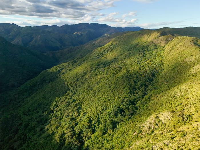 tropical-dry-forest