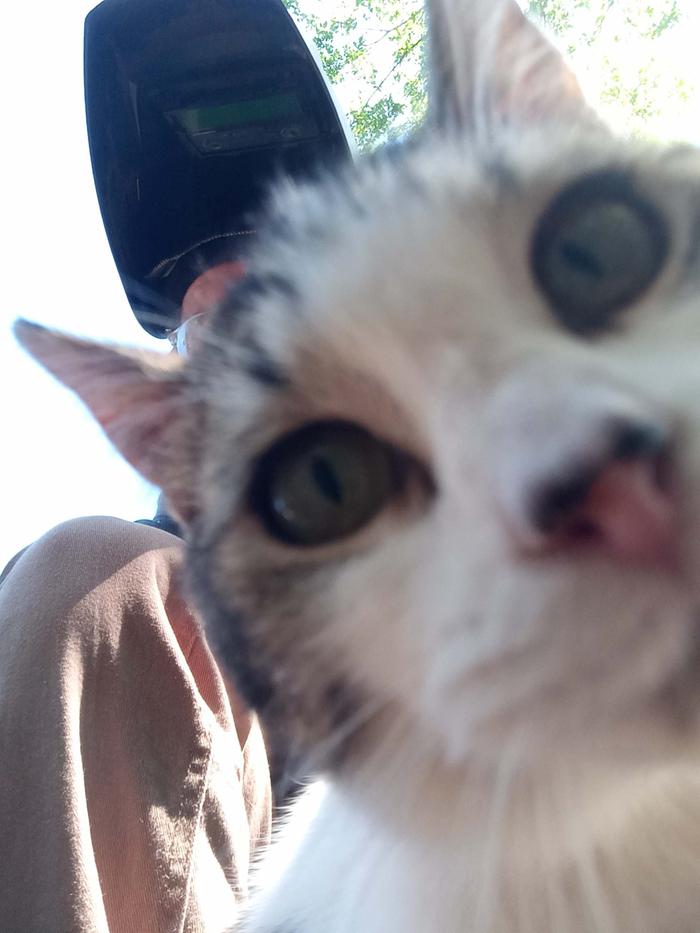 D.W. took a selfie with me while I was working on the crusher