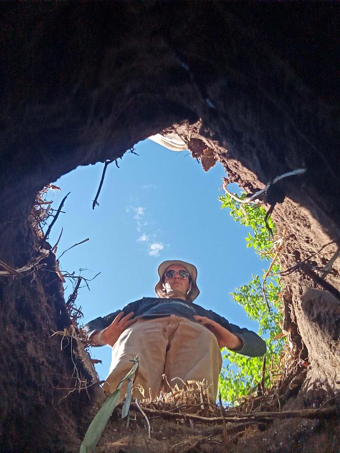 If I ever become a hip-hop icon this can be cover art for one of my albums