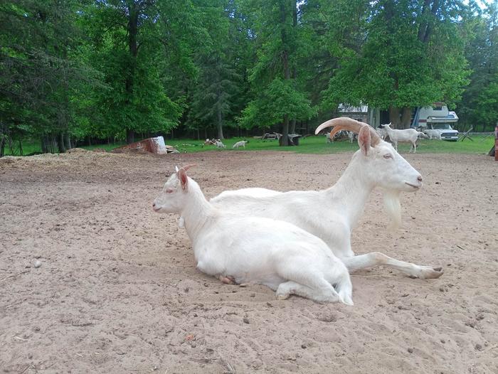 Mom and the kid relaxing after a long day of browsing