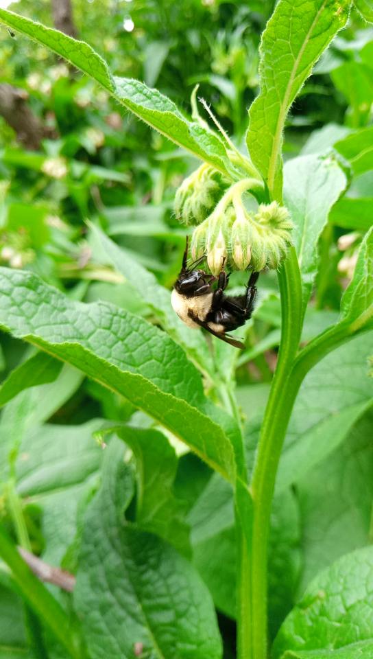 This one is very neat I think