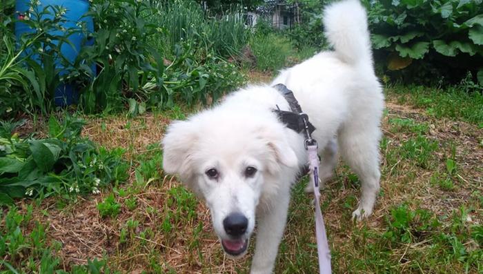 Exploring the garden