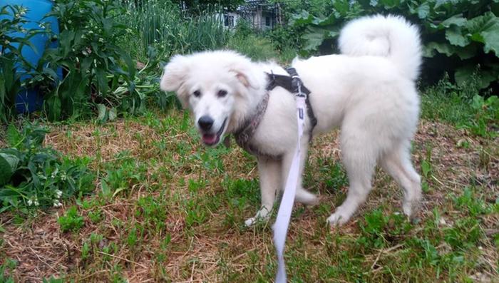 Exploring the garden