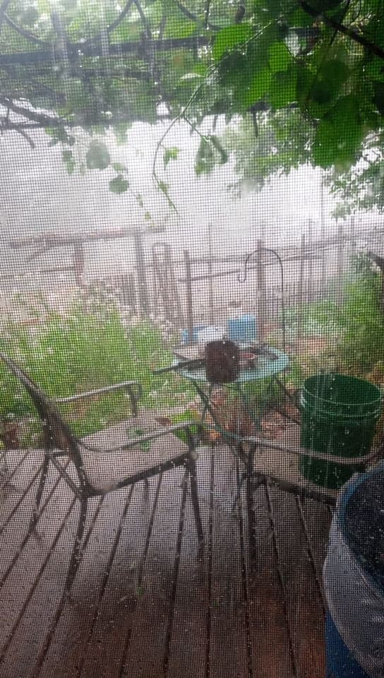 [Thumbnail for rain.jpg]