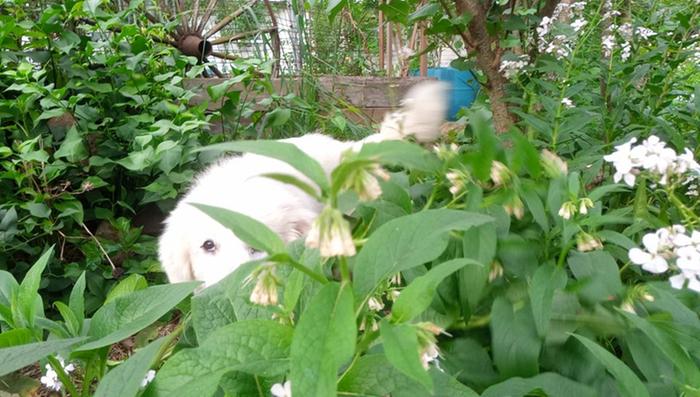 Do you ever get the feeling that you're being watched?