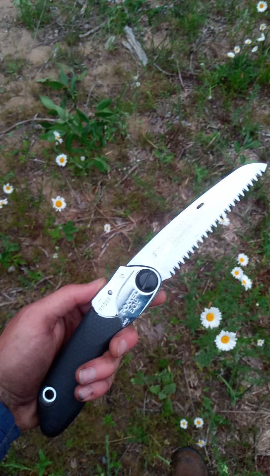 Very nice folding saw I used on the lilac and on the fallen tree