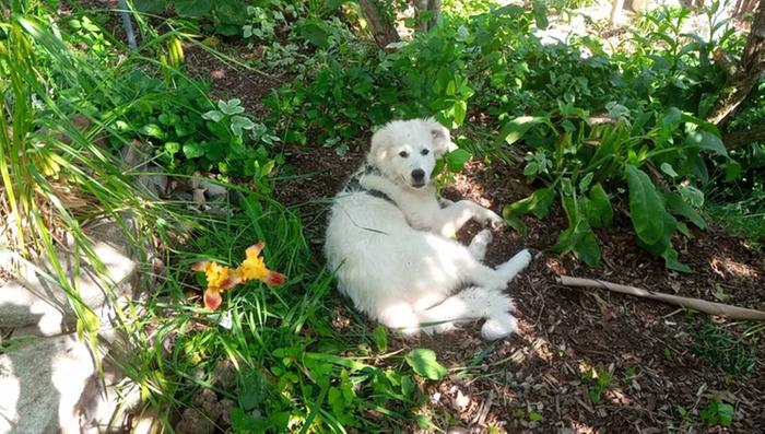 I snuck up on her for this one and you can tell