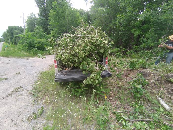 Now that's how a truck should be used