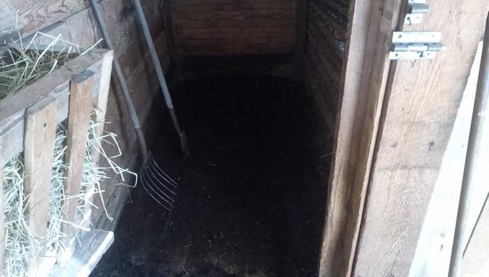 All clear down to the wood - just added some straw and it was all set