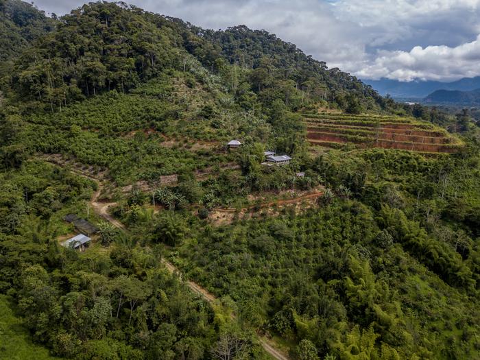 Birdview of the tropical permaculture farm on a steep hill in Ecuador with big and smaller terraces and access