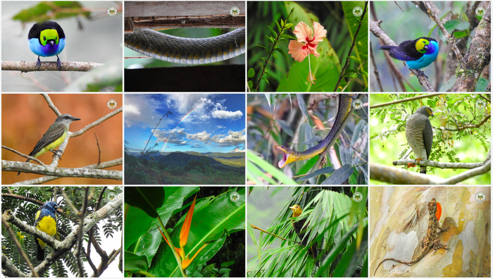 [Thumbnail for BIODIVERSITY1_tropical_farm_for_sale_Ecuador_.png]