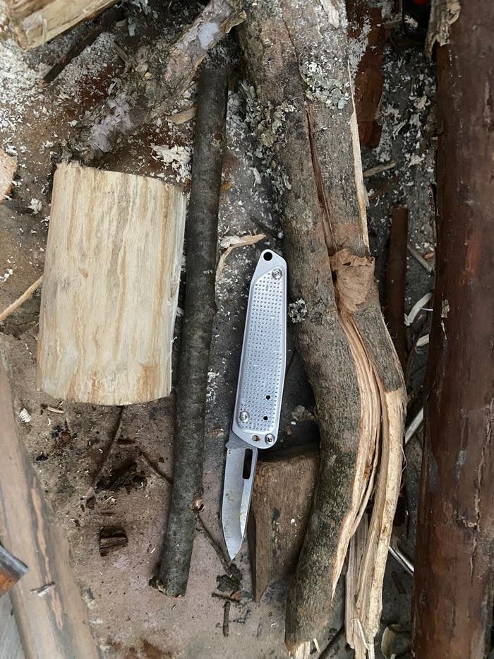 Shaved off the end of the elm by pocket knife