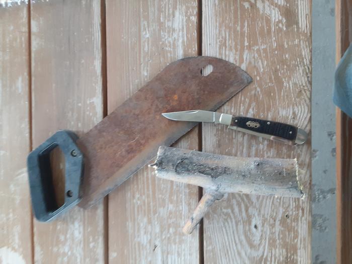 Fresh tree branch with my tools