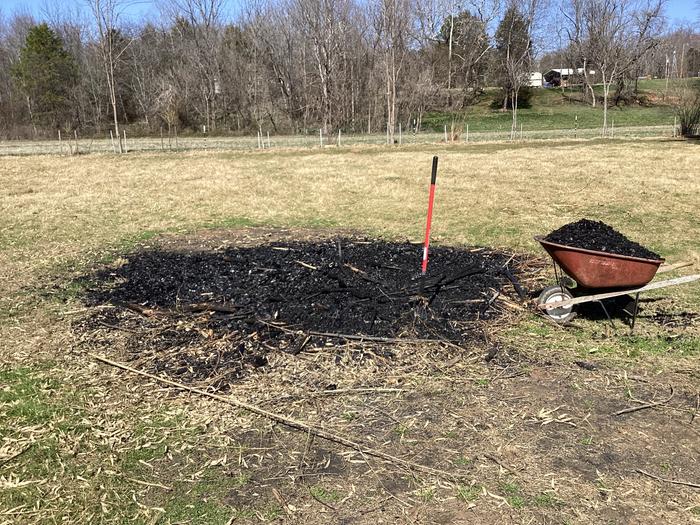 spreading biochar with a wheelbarrow
