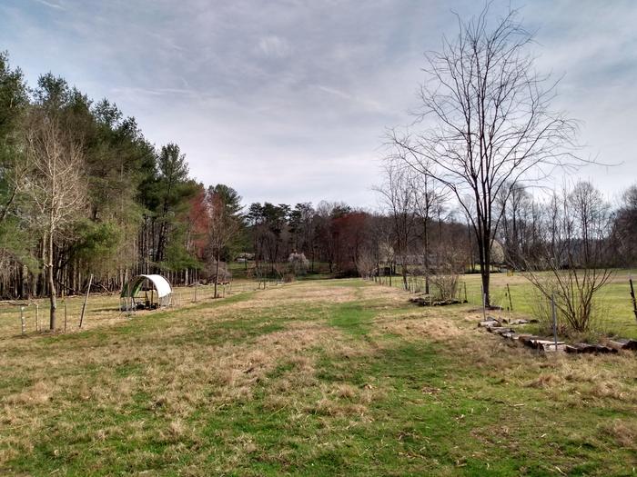 field greening up after adding biochar