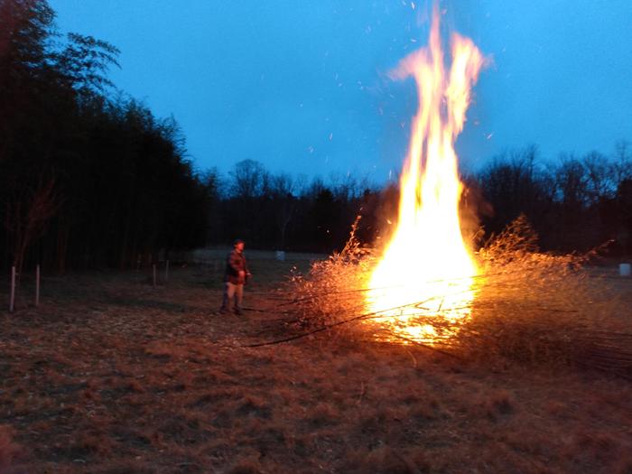 burning brush for biochar