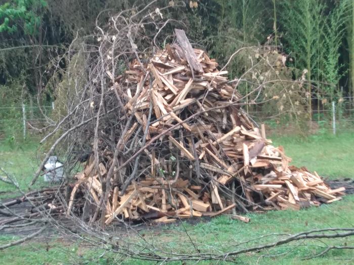 pile of wood ready to burn for biochar
