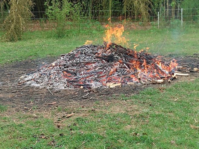 burning wood for biochar