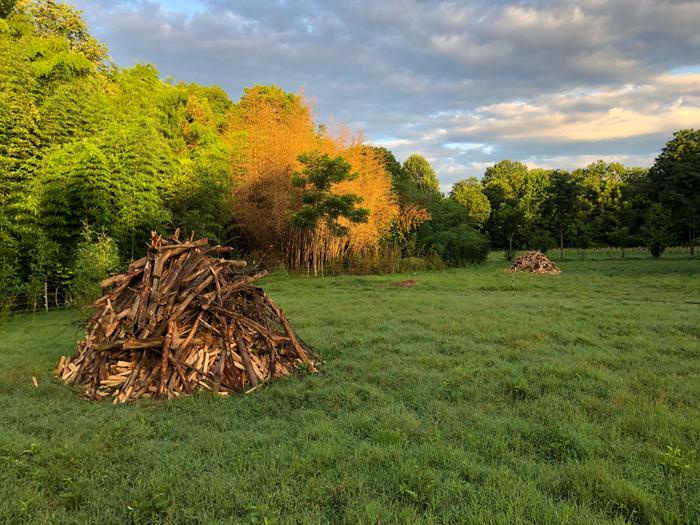 two piles of wood to be burned for biochar in a field