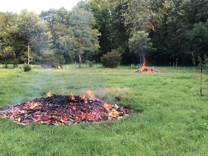 two piles of wood burning for biochar in a pasture