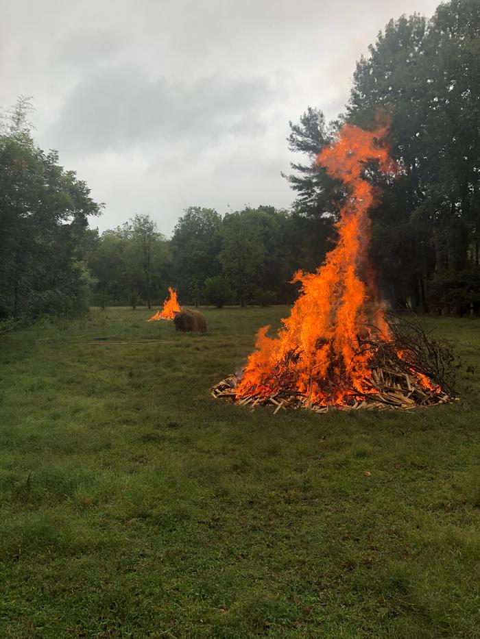 [Thumbnail for IMG_2150.jpeg]