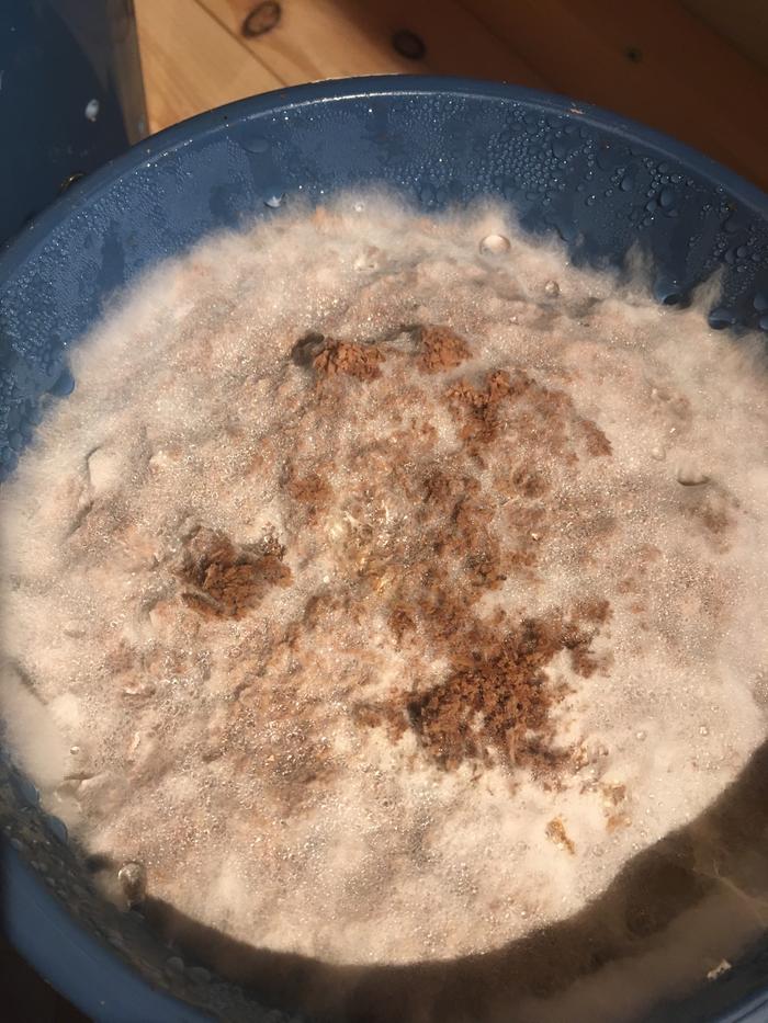 [Thumbnail for 0FDCEBF0-F0B3-4577-B4C9-4076B68AE796.jpeg]