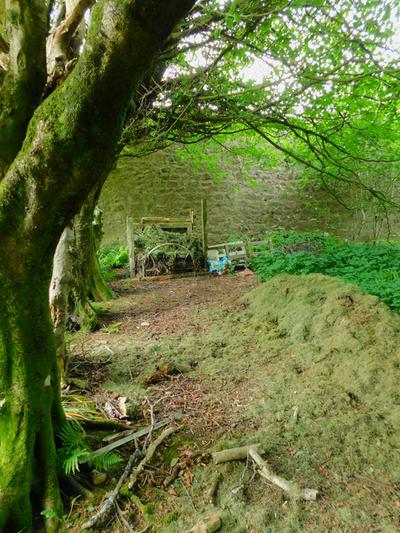 compost-bin-walled-garden