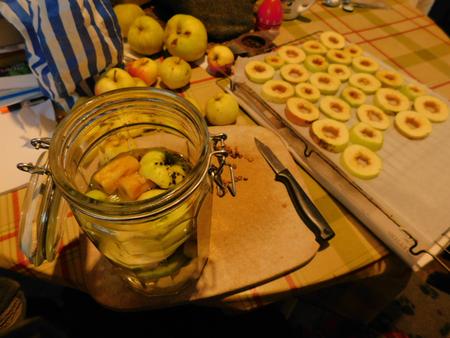 apple-drying-rings-cider-vinegar