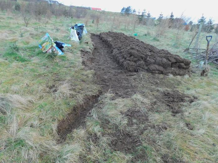 turf-covered-lazy-bed-natural-farming-skye