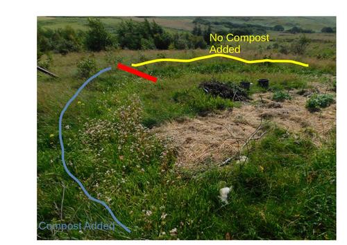 compost effect long term growth