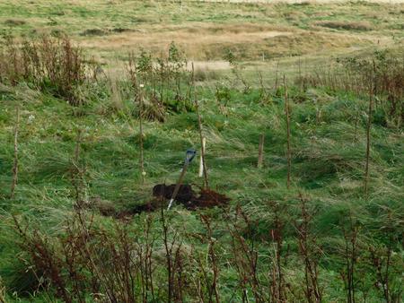 pond site survey