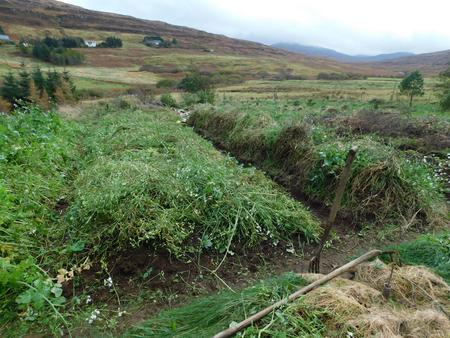 surface mulch protecting soil over winter