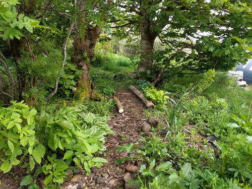 edible forest garden Scotland