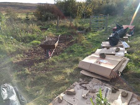 new shed build site clearance