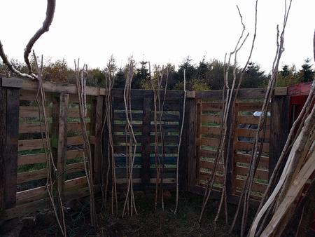 yurt roof pole construction