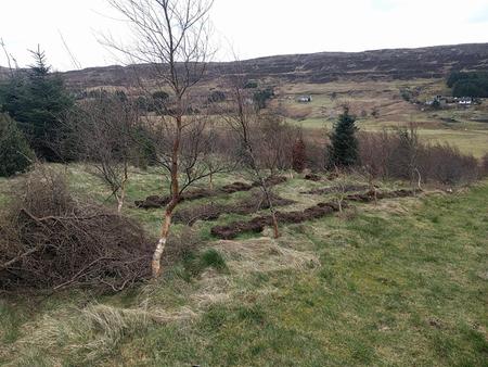 grow food crops on poor soil UK