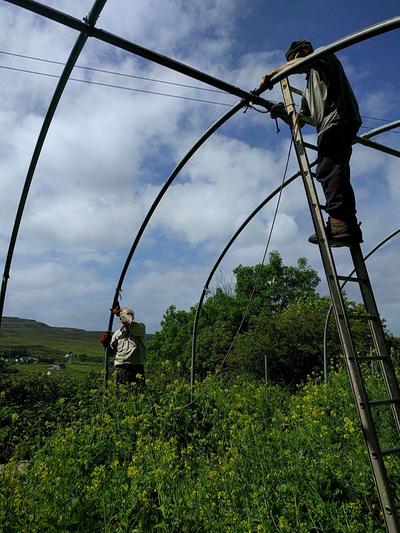 dismantling the hoop tunnel