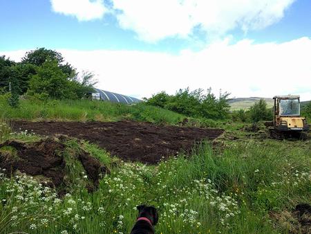 putting up a polytunnel