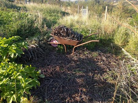 easy way of converting lawn to garden bed